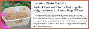 Jamaica Plain Gazette