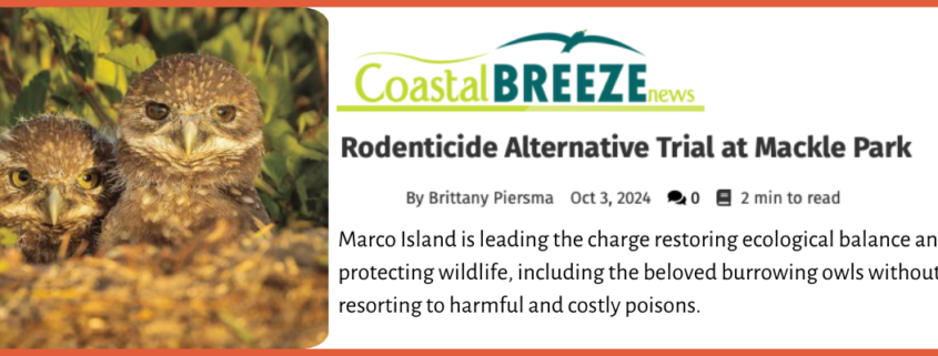 Non-Toxic Rodent Control in Marco Island LF